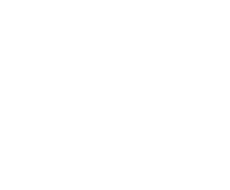 FCY IT Consultancy logo